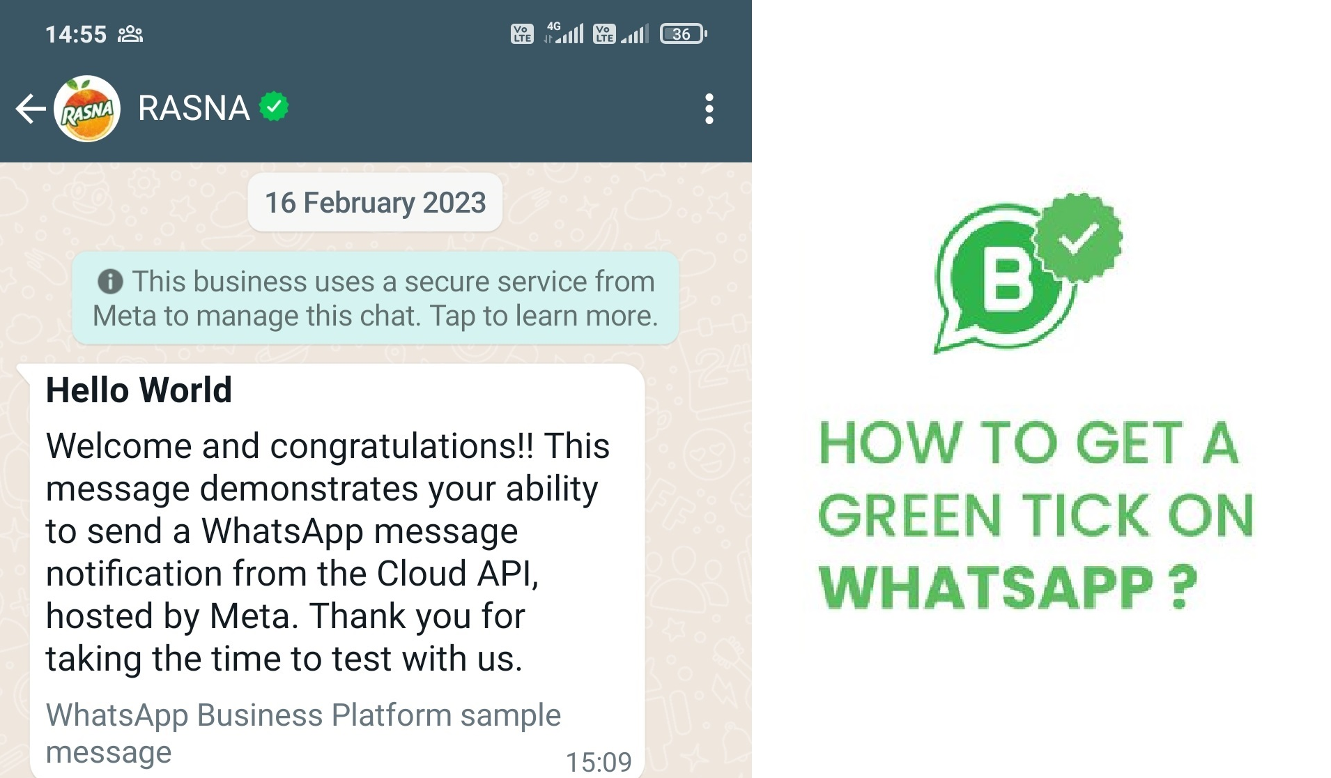 Enhancing Your WhatsApp Profile: How to apply for Green tick for Whatsapp Number